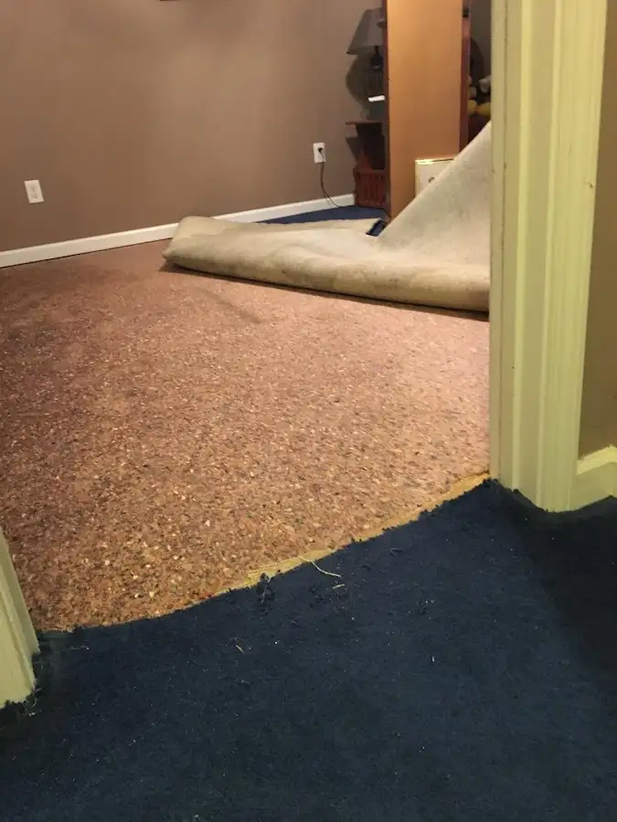 Carpet pad removal revealing water damage during Water Mitigation Services in East End