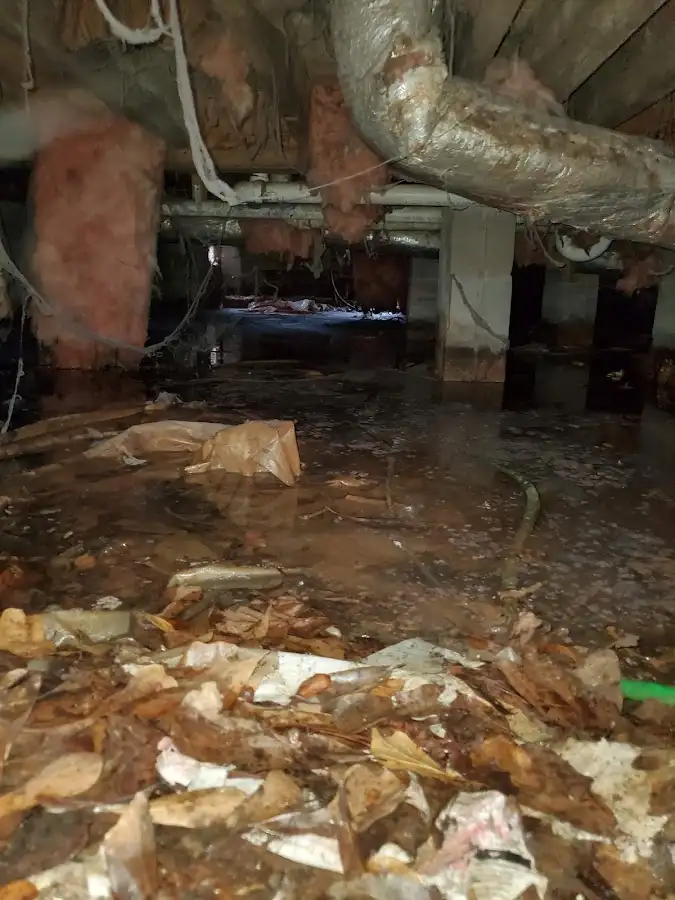 Crawl space flood assessment for Leak Detection & Repair in East End